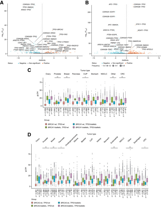 Figure 4. Association of co-occurring gene alterations and gLOH in BA (A) and NBA (B) tumor types. Additivity of TP53 alterations with BRCA1 (C) and BRCA2 (D) across tumor types. CRC, colorectal cancer; CUP, carcinoma of unknown primary origin; FDR, false discovery rate; wt, wild type; asterisks denote level of significance after false discovery correction; *, P < 0.05; **, P < 0.01.