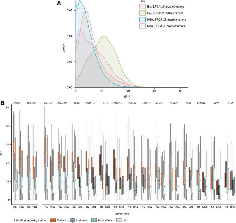 Figure 2. Overall distribution of gLOH across BA and NBA tumor types (A) and association of HRR-associated gene alterations (B) with gLOH across all cancers. wt, wild type; Only genes with at least five assessable alterations in each category were considered; wt refers to the gene being analyzed.