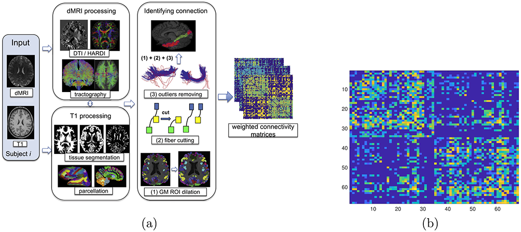 Learning Clique Subgraphs in Structural Brain Network Classification ...