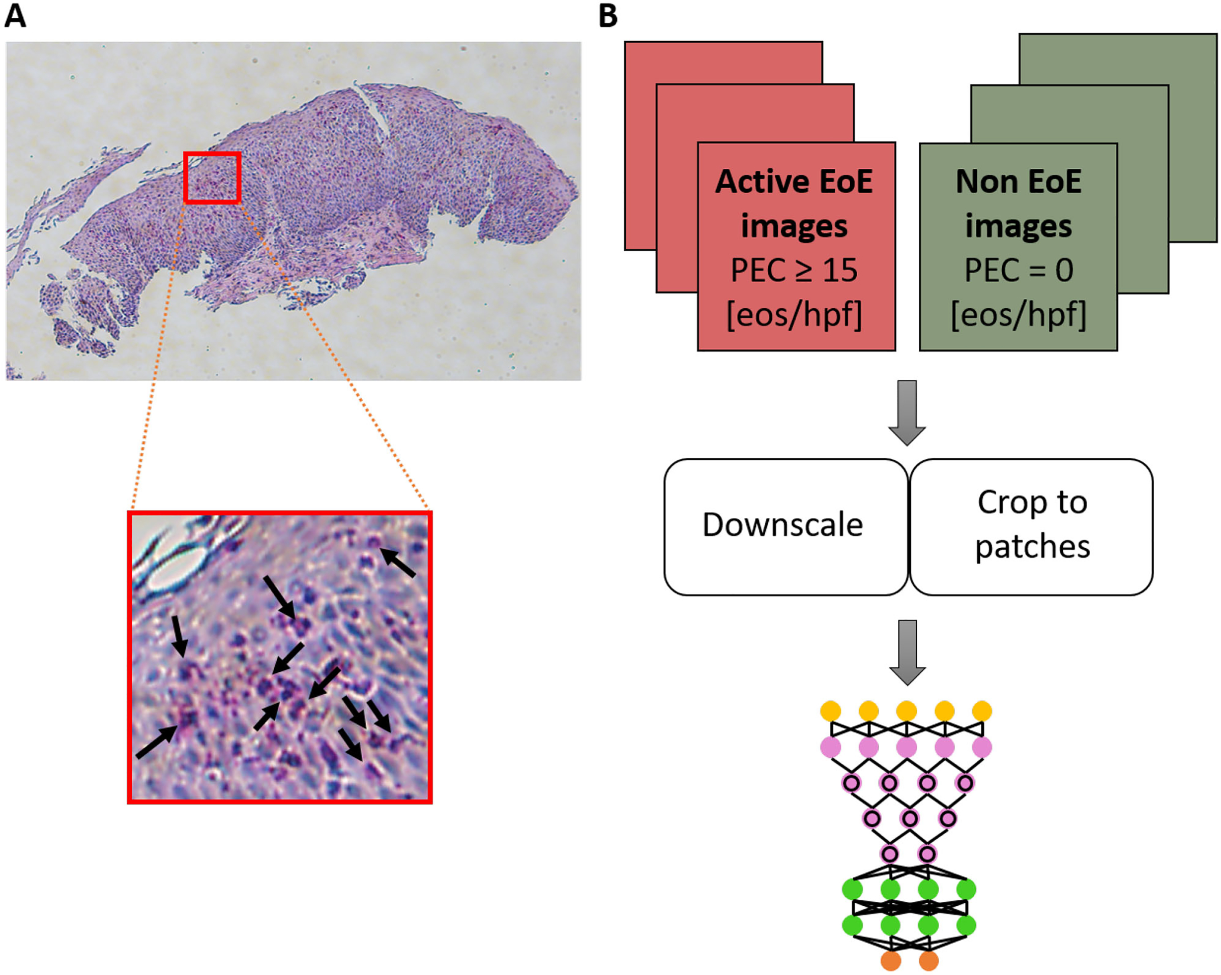 FIGURE 1.