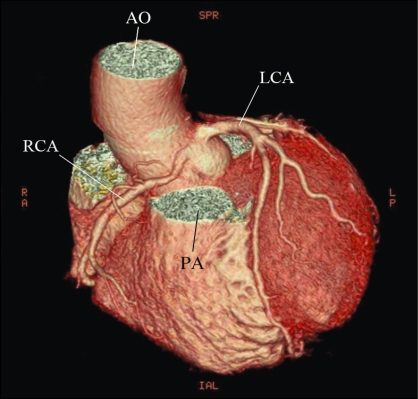 Figure 1)