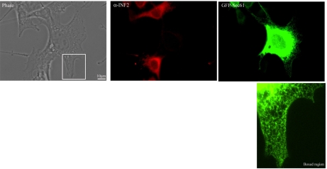 Fig. 11.