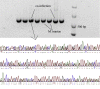 Supplementary Fig. S4