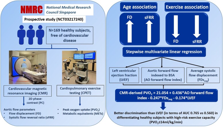 Graphical abstract