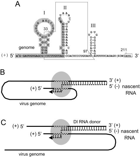 FIG. 4.