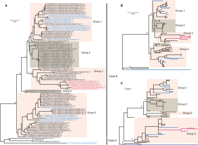 FIG 2 