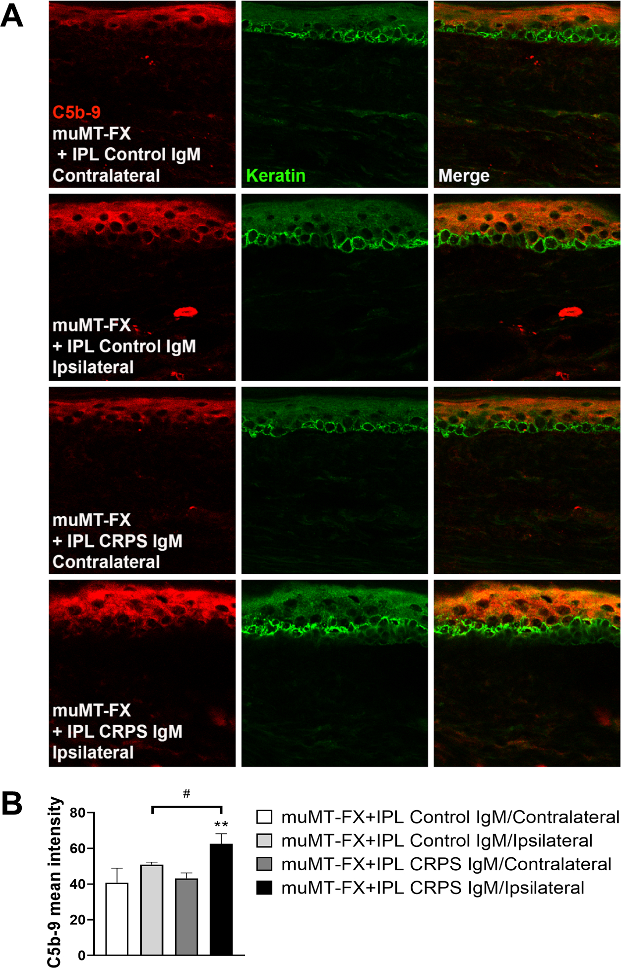 Figure 6.