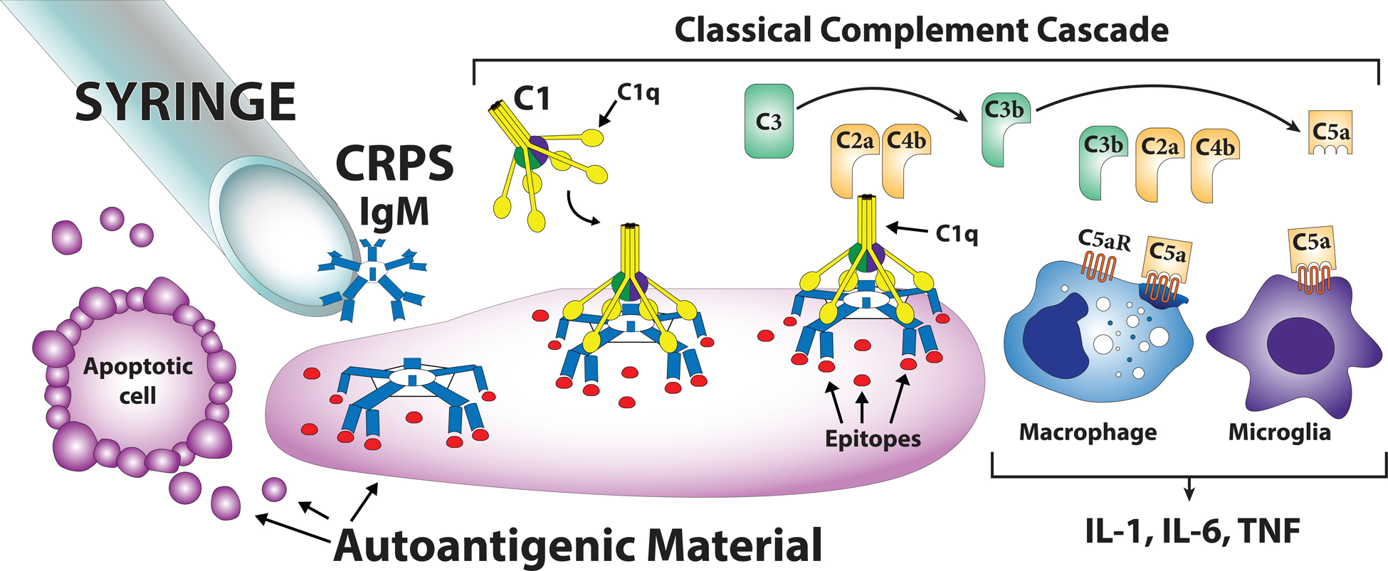 Figure 12.