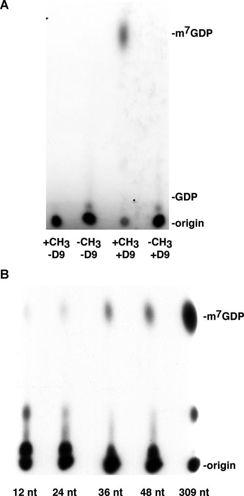 FIG. 5.