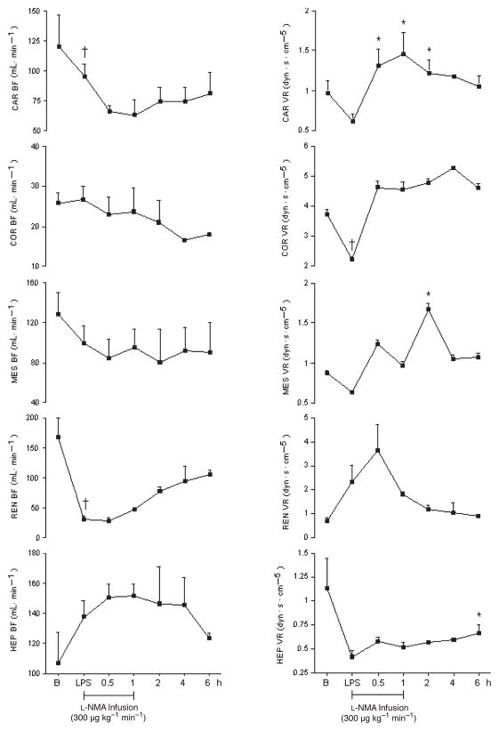 Fig. 11