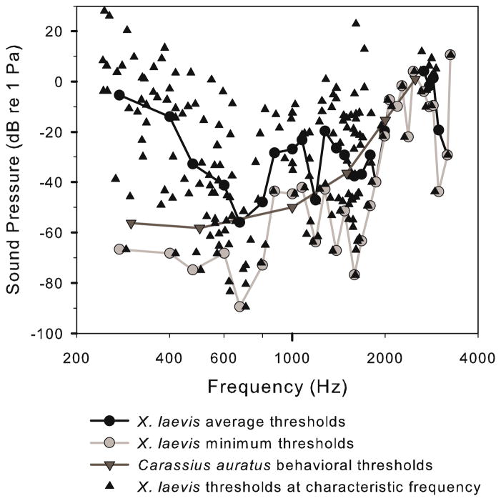 Fig. 10