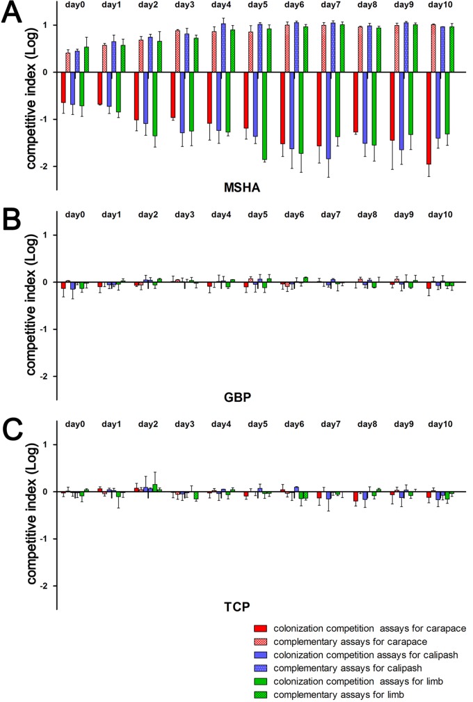 FIG 3