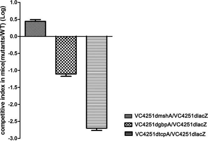 FIG 2