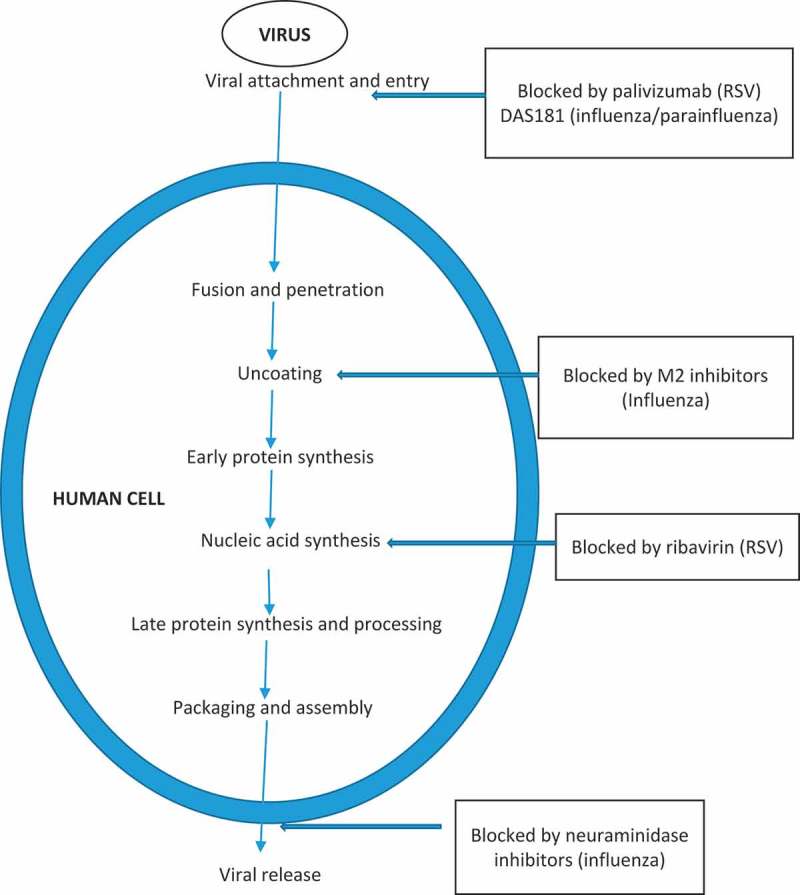 Figure 2.