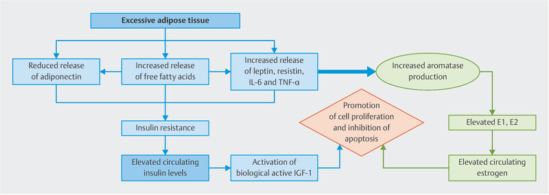 Fig. 2