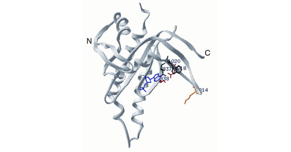 Linking enzyme sequence to function using conserved property difference ...