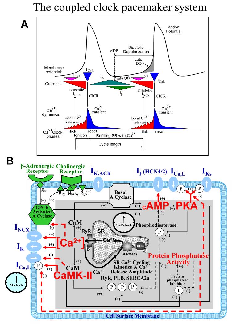 Fig.1