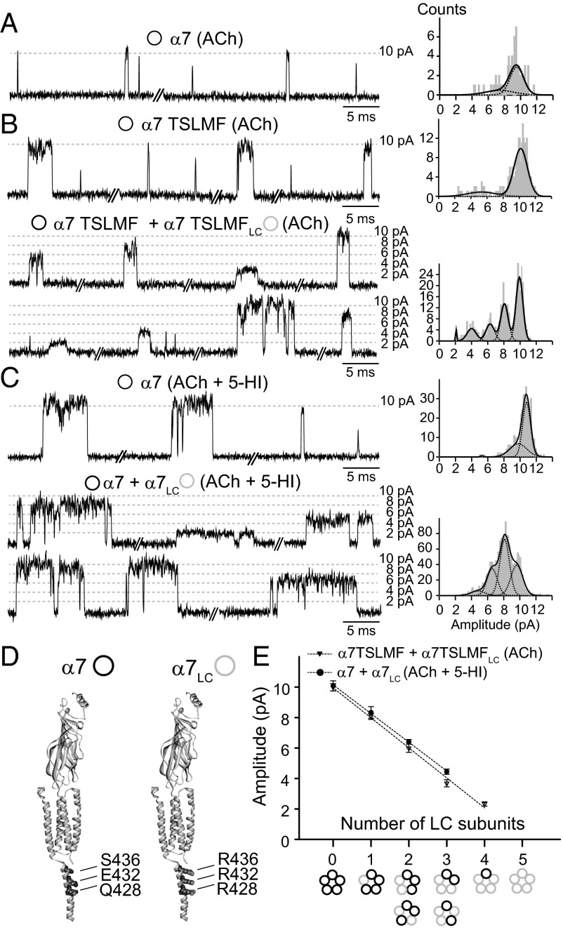 Fig. 3.