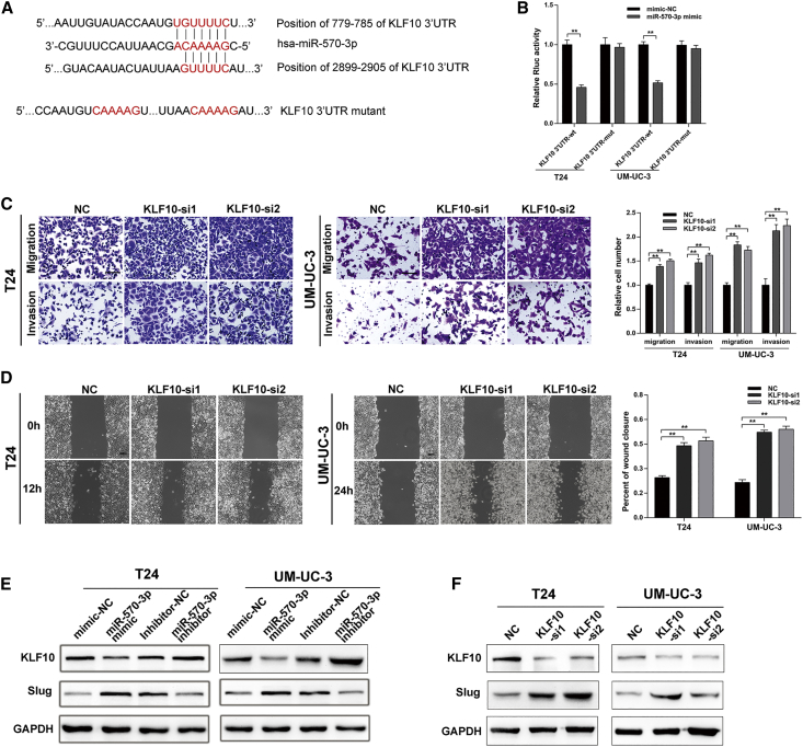 Figure 6