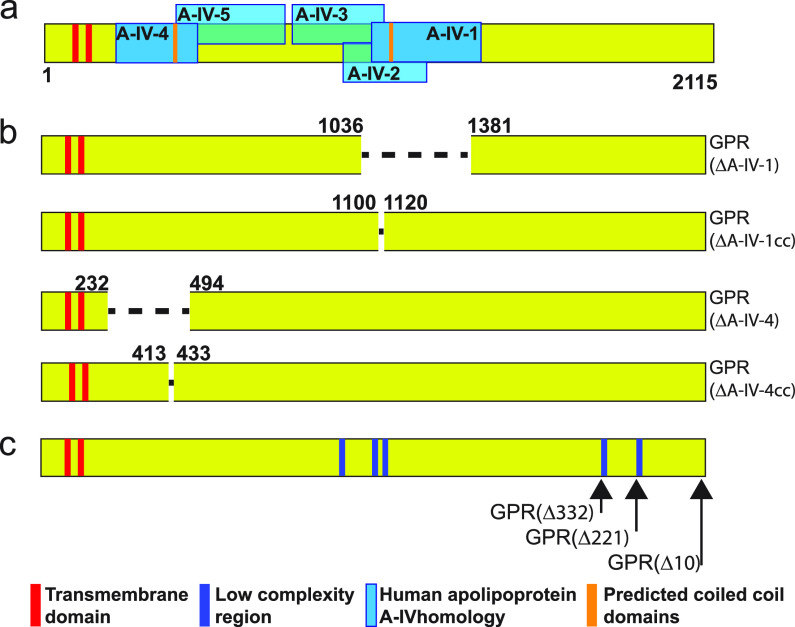 FIG 2