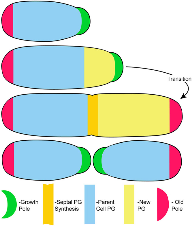 FIG 1