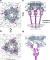 Figure 5—figure supplement 3.