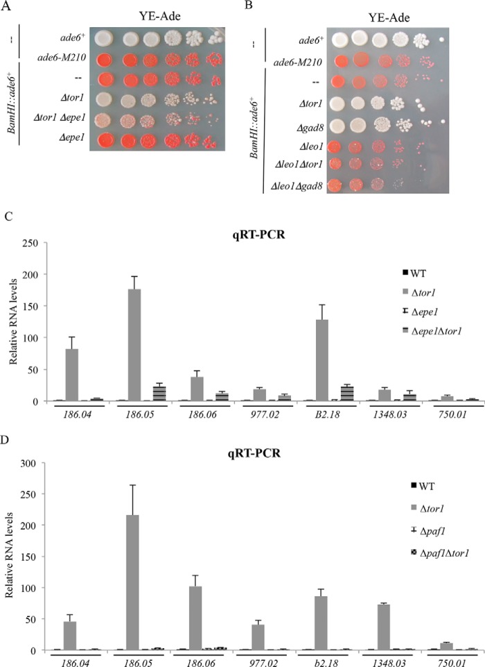 Figure 6.