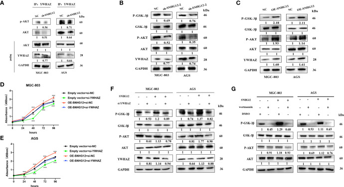 Figure 6