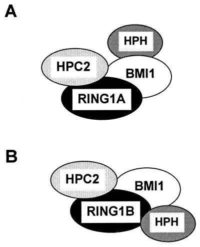 FIG. 10