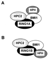 FIG. 10
