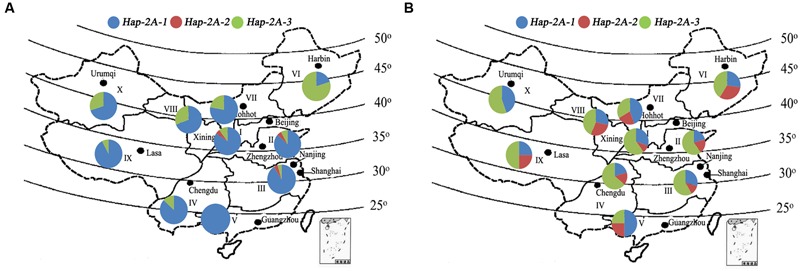 FIGURE 9