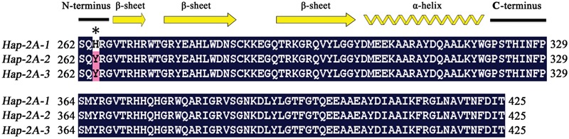 FIGURE 11