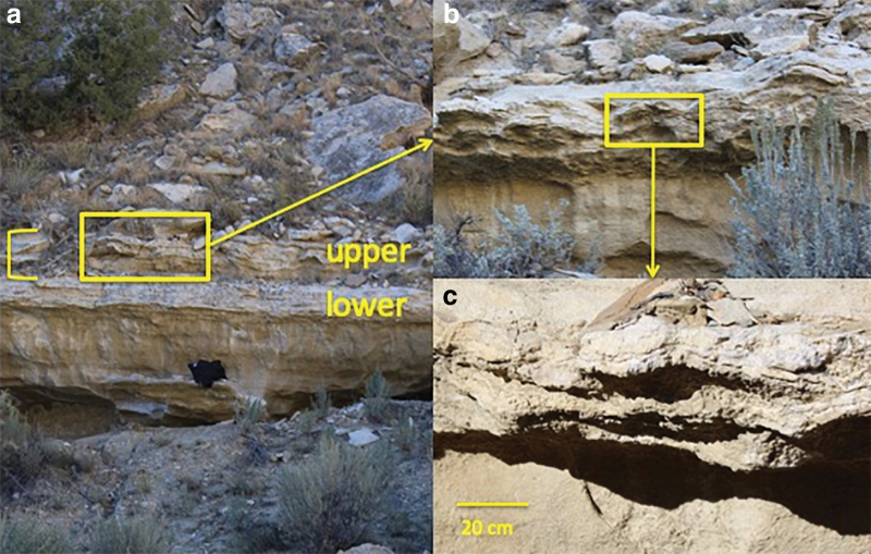 FIG. 10.