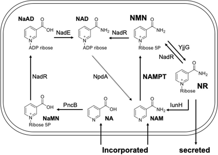 Figure 6