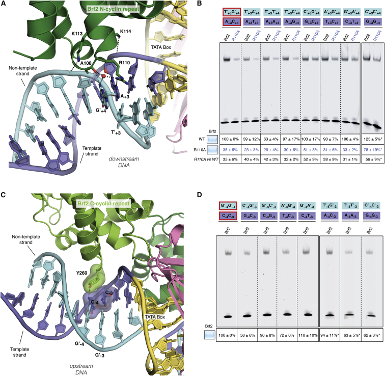 Figure 3