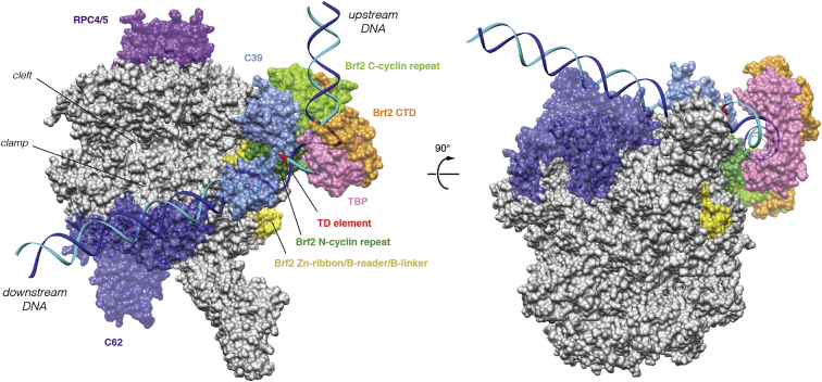 Figure 2