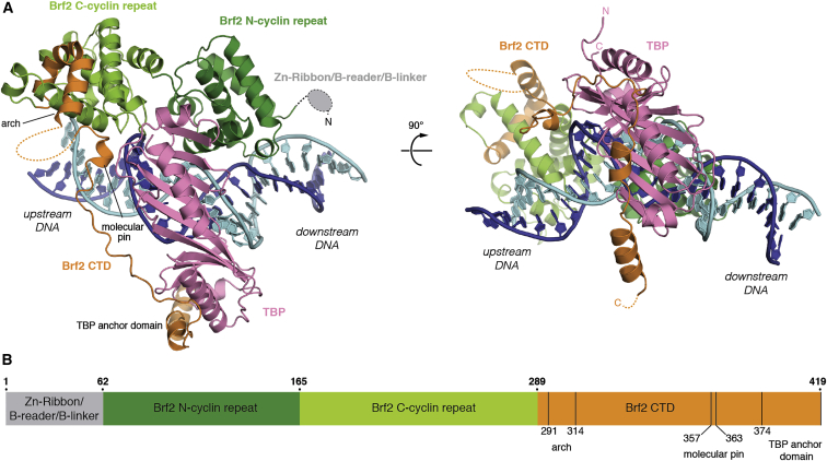 Figure 1