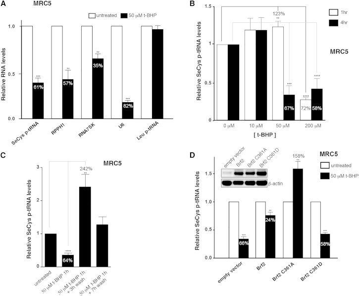 Figure 6