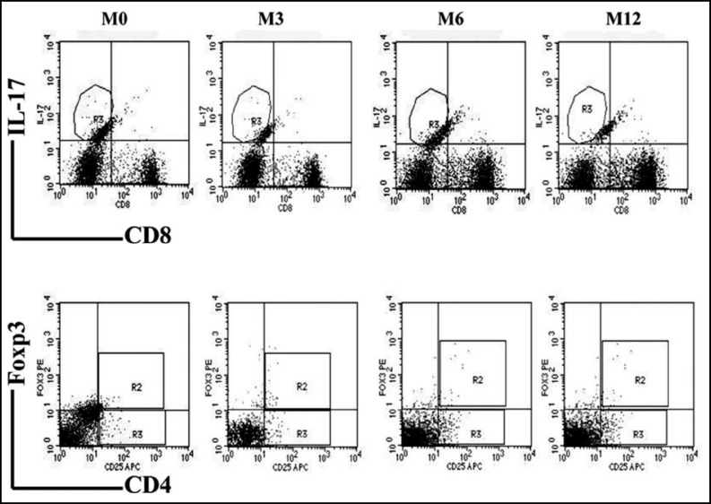 Fig.3