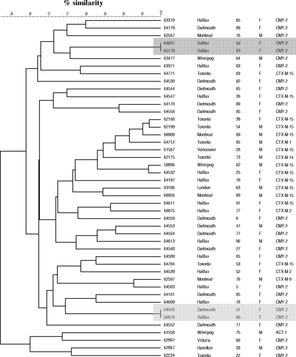 FIG. 1.