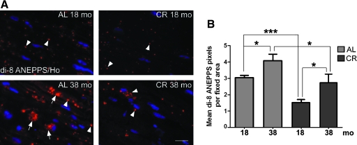 FIG. 2.