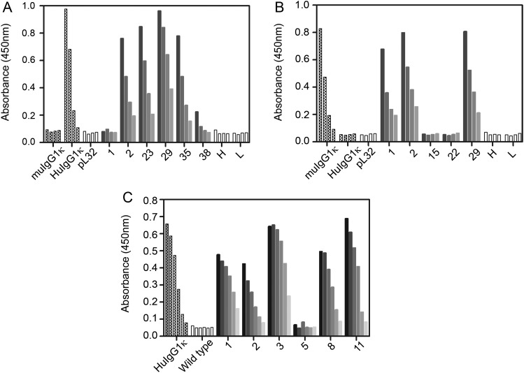 Figure 3.