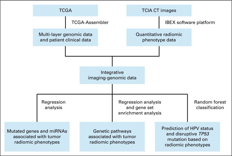 FIG 1.