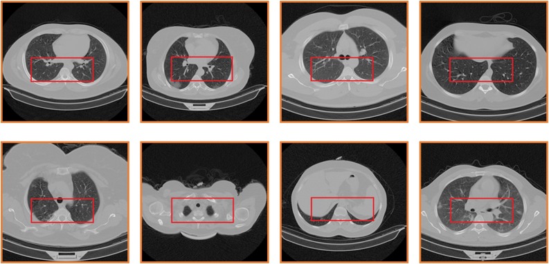 Fig. 7