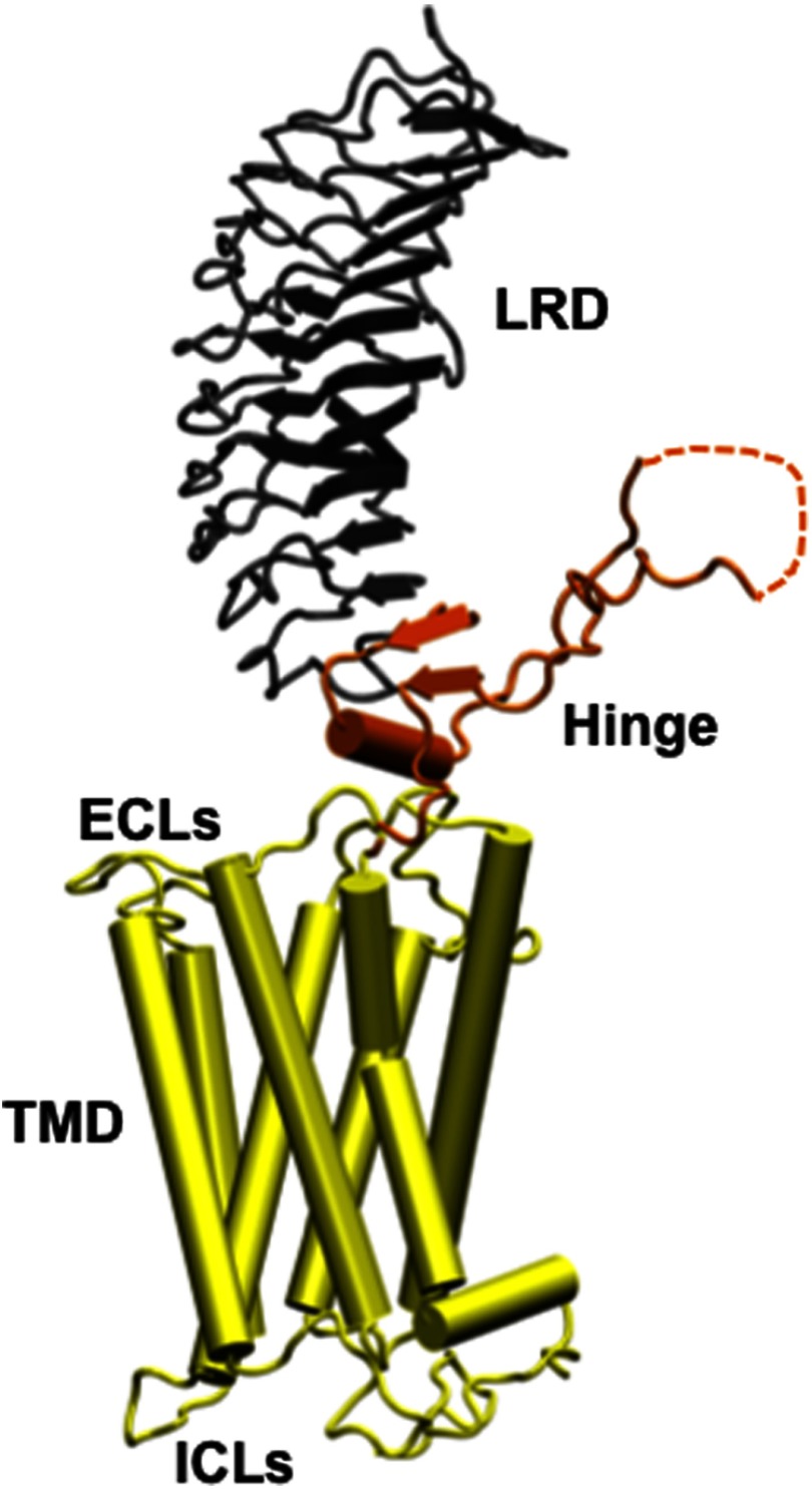 Figure 1.