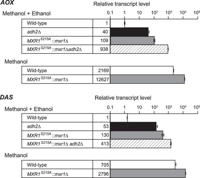 Figure 5