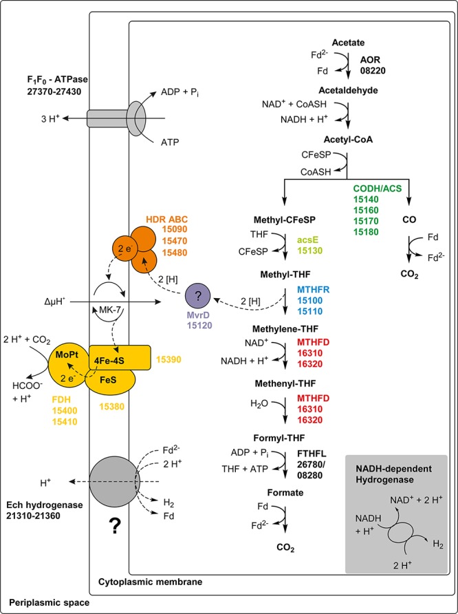 FIGURE 6