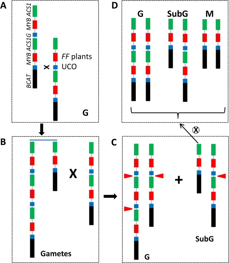 Fig. 6