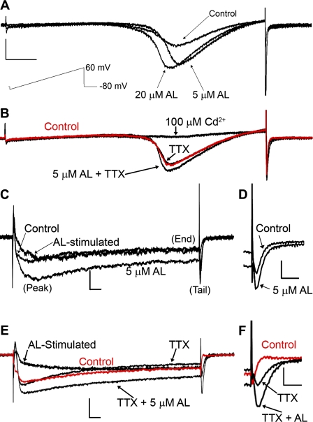 FIG. 1.