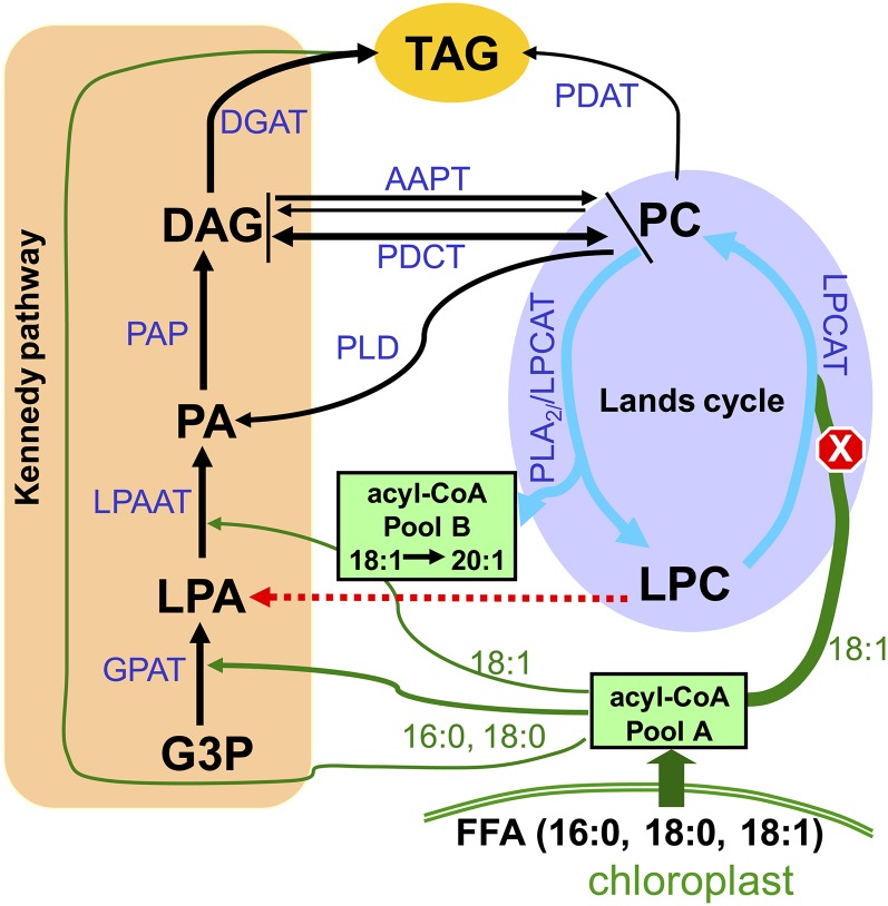 Figure 10.